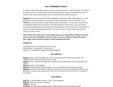 A thumbnail of the liver/gallbladder cleanse handout