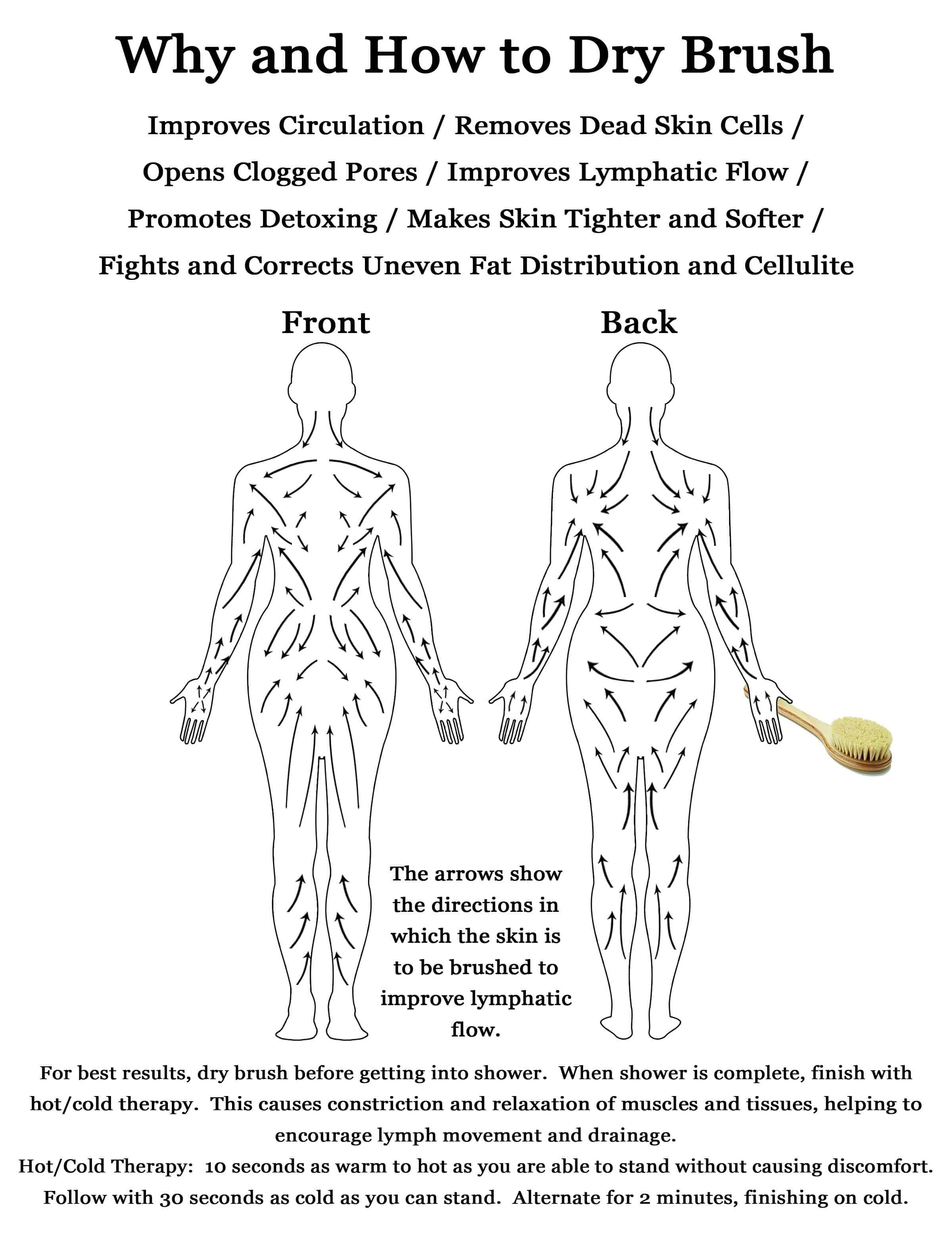 The whys and hows of dry brushing are on this handout.  There is a front body and back body image that provides arrows showing which ways to brush.