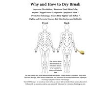 A thumbnail of the dry brushing instructional handout.