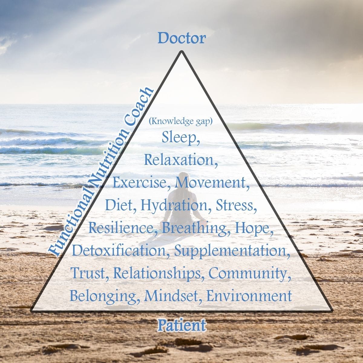 A pyramid with the word doctor at the tip and patient at the foundation.  In the pyramid is listed all the things that aren't addressed by the doctor.